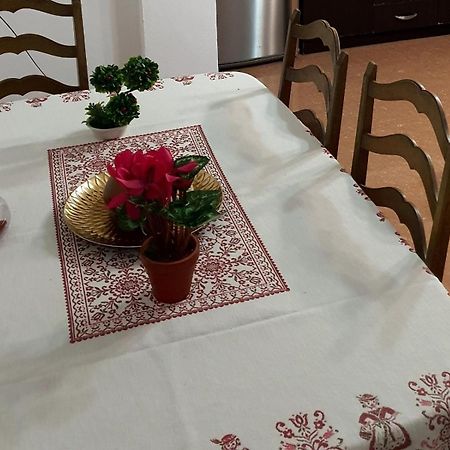City Center Apartment Shkodër Eksteriør bilde